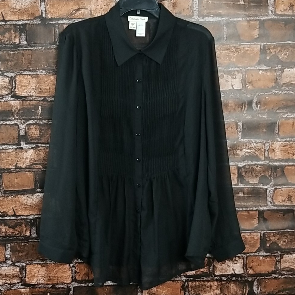 Coldwater Creek| Sheer Pleated Button Down Blouse